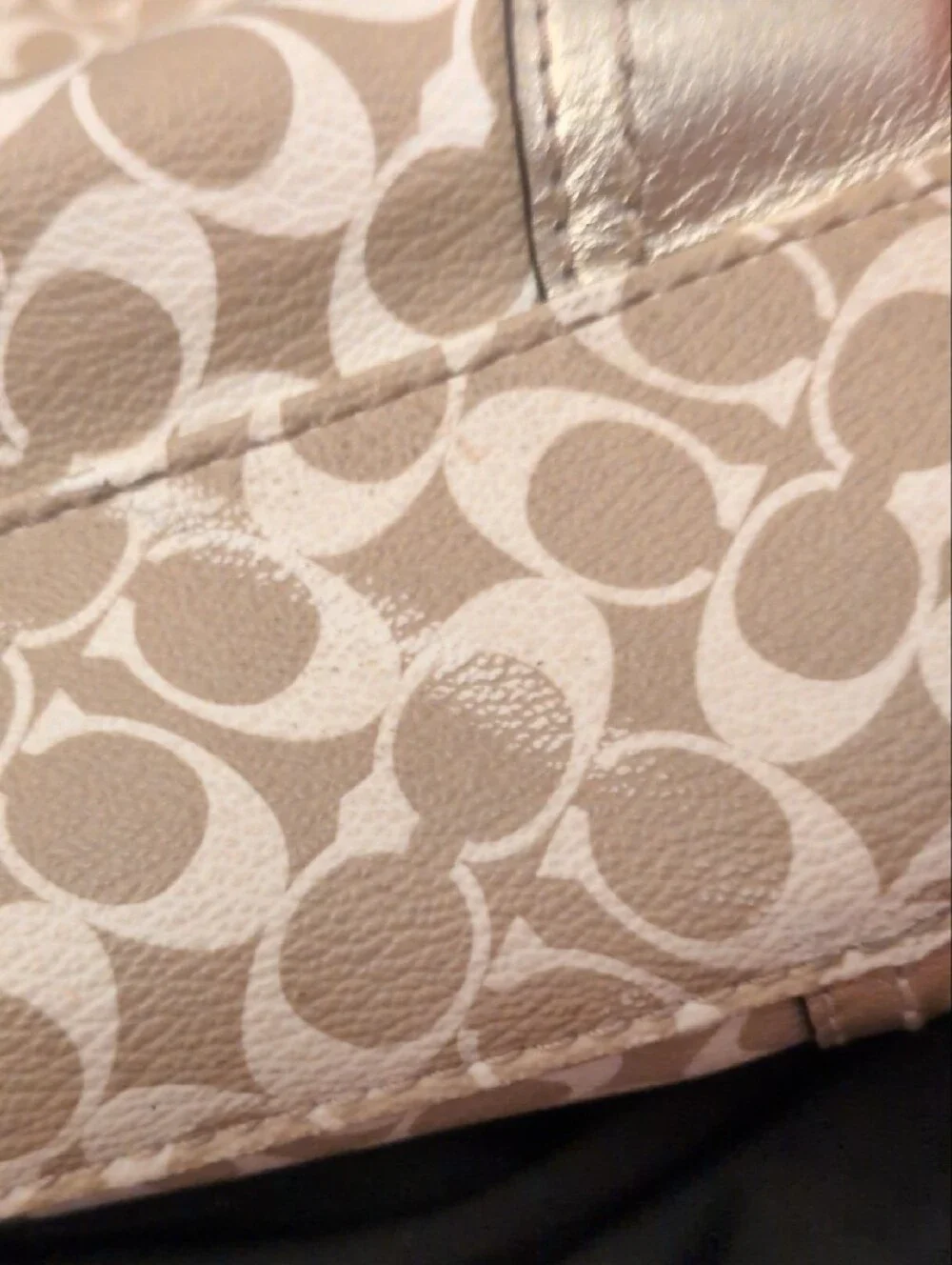 Coach  Chelsea 2011 Beige and Metallic Stripe Signature Tote